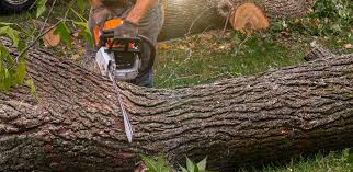 Best Lawn Irrigation Installation and Maintenance  in York Harbor, ME